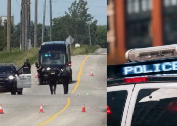 Mapleton Township crash 5 children killed